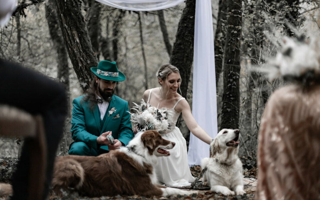 Se marier en automne : une saison douce, poétique et pleine de charme